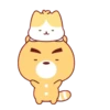 YELLOW BEAR 23