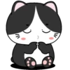 🖤😻Baby Tuxe do Cat😻🖤.MOV 22