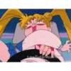 Sailor Moon 24
