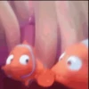 Finding Nemo 22