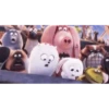 Cutu rabbit 🐇🐰 ❤ @r_squared_rishabh — @stckrRobot 26