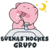 2 BUENAS NOCHES GRUPO
