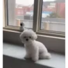Cute kitty 🐱 ❤💕 26