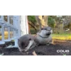 OTTERS 25