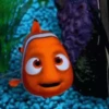 Finding Nemo 24