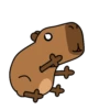 Código carpincho 24