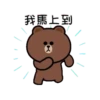 Hyper BROWN 2動態 19