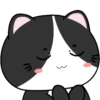 🖤😻Baby Tuxe do Cat😻🖤.MOV 23