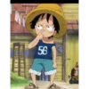 onepiece 29