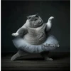 🧿Gatos Gatitos🐱🐈 25
