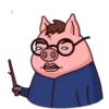 Potter Pig 24