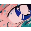 Sailor Moon 29