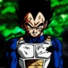 Vegeta 28