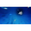 lazy_raion's Pack 1 (Video) 29