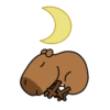Código carpincho 26