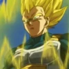 Vegeta 29