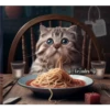 🧿Gatos Gatitos🐱🐈 30