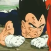 Vegeta 30