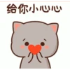 Goma cat 6