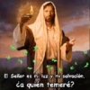 cristianos 8 5