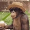 Monos 2 6