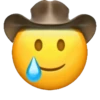 Emojis xmil😆😉🙃 5