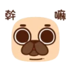 巴哥噗可呆萌日記 8