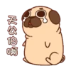 巴哥噗可呆萌日記 9
