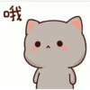 Goma cat 12