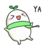Seed Cute & Soft 9
