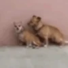 Weird Love 9
