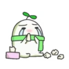 Seed Cute & Soft 10