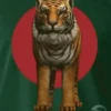 Tigers 1 13