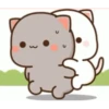 Goma cat 17
