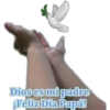 cristianos 8 11