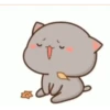 Goma cat 19