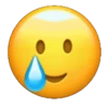 Emojis xmil😆😉🙃 12