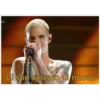 Hybrid Theory 19