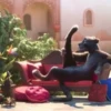 Zootopia Ani 18