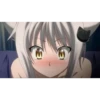 AR-15's 15