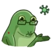 Ranitas🐸1🇲🇽MOVI 19