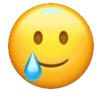 Emojis xmil😆😉🙃 18