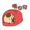 巴哥噗可呆萌日記 19