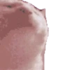 MEMES RANDOM XDD 11