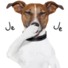 Risos para o seu chat 23
