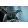 Hybrid Theory 28
