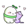 Seed Cute & Soft 24