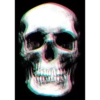 Skulls 5