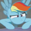 Rainbow Dash animated 7