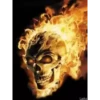 Skulls 7